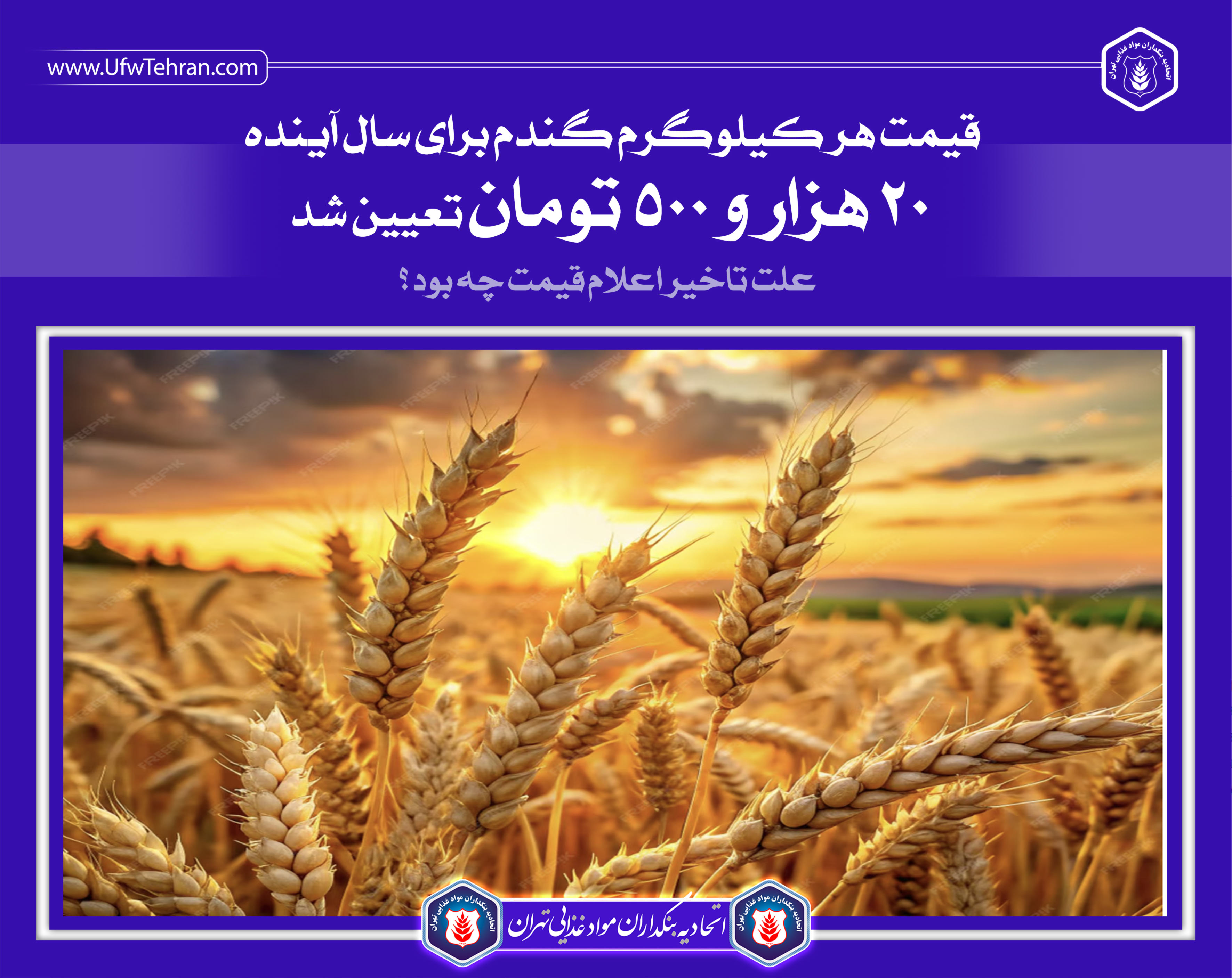 قیمت هر کیلوگرم گندم برای سال آینده ۲۰ هزار و ۵۰۰ تومان تعیین شد