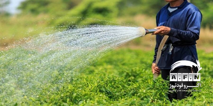 افت ۵۰ درصدی تولید محصولات اساسی با قطع برق چاههای کشاورزی