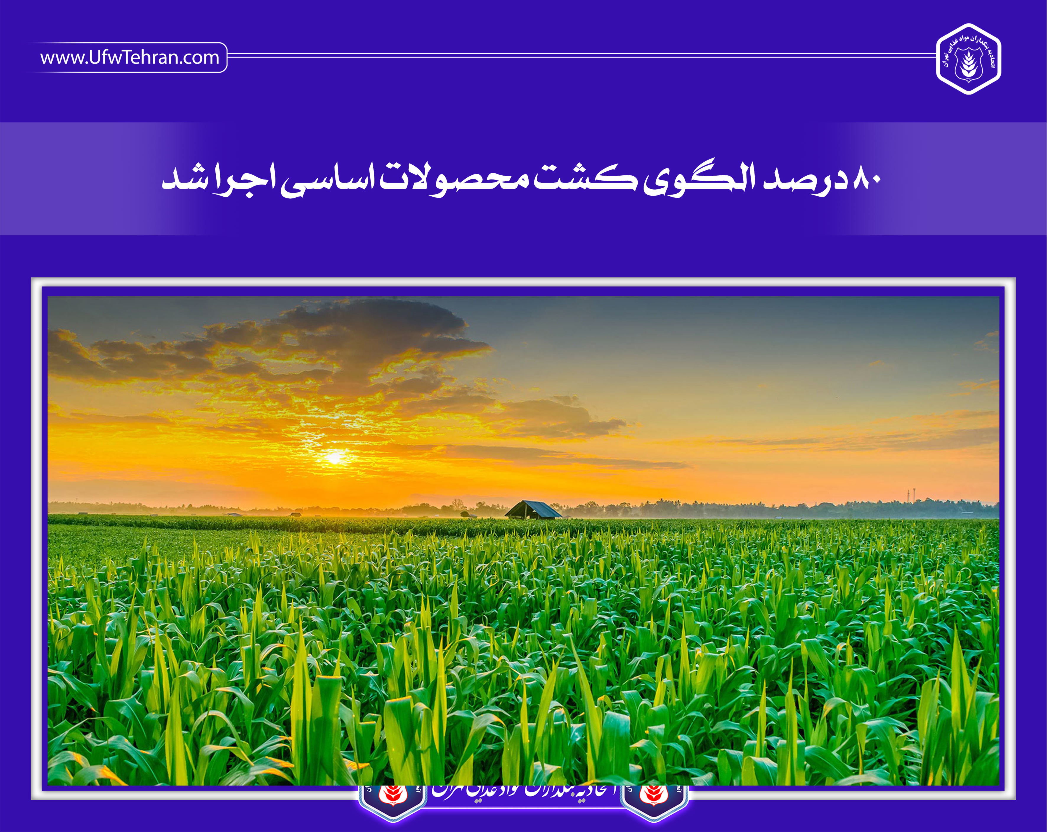 ۸۰ درصد الگوی کشت محصولات اساسی اجرا شد
