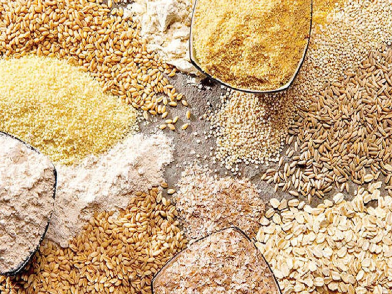 مدیرعامل شرکت پشتیبانی امور دام کشور: خرید نهاده‌های دامی از واردکنندگان آغاز شد/ هر فردی تحویل ندهد، متخلف است