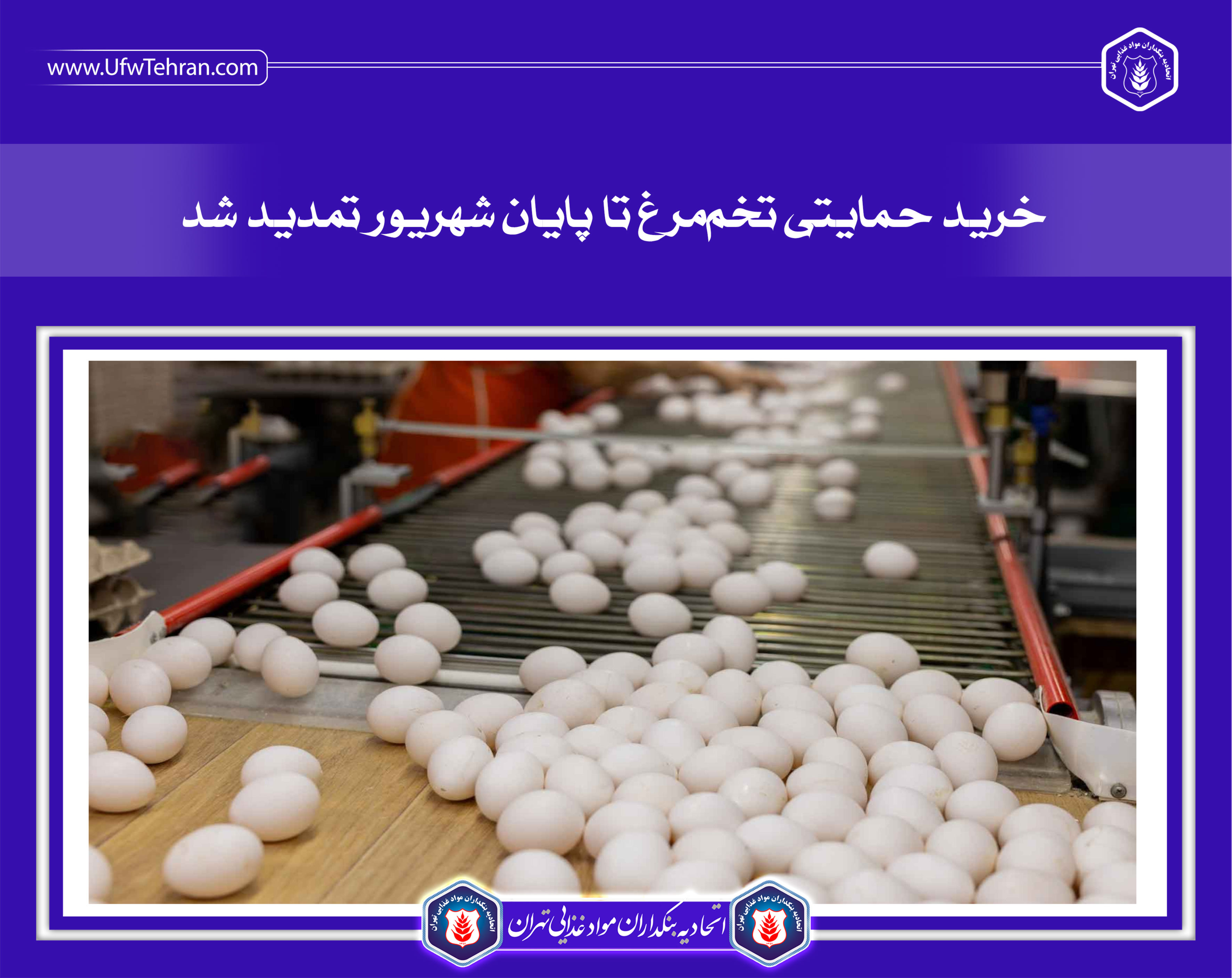 خرید حمایتی تخم‌مرغ تا پایان شهریور تمدید شد