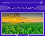 ۸۰ درصد الگوی کشت محصولات اساسی اجرا شد
