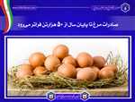 صادرات مرغ تا پایان سال از ۵۰ هزارتن فراتر می‌رود