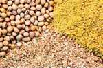 از دلایل گرانی روغن تا چرایی ترخیص نشدن کنجاله های رو به فساد در کشتیها