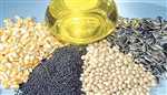 نگاهی به آمار ۹ ماهه واردات دانه های روغنی روغن خام و کنجاله