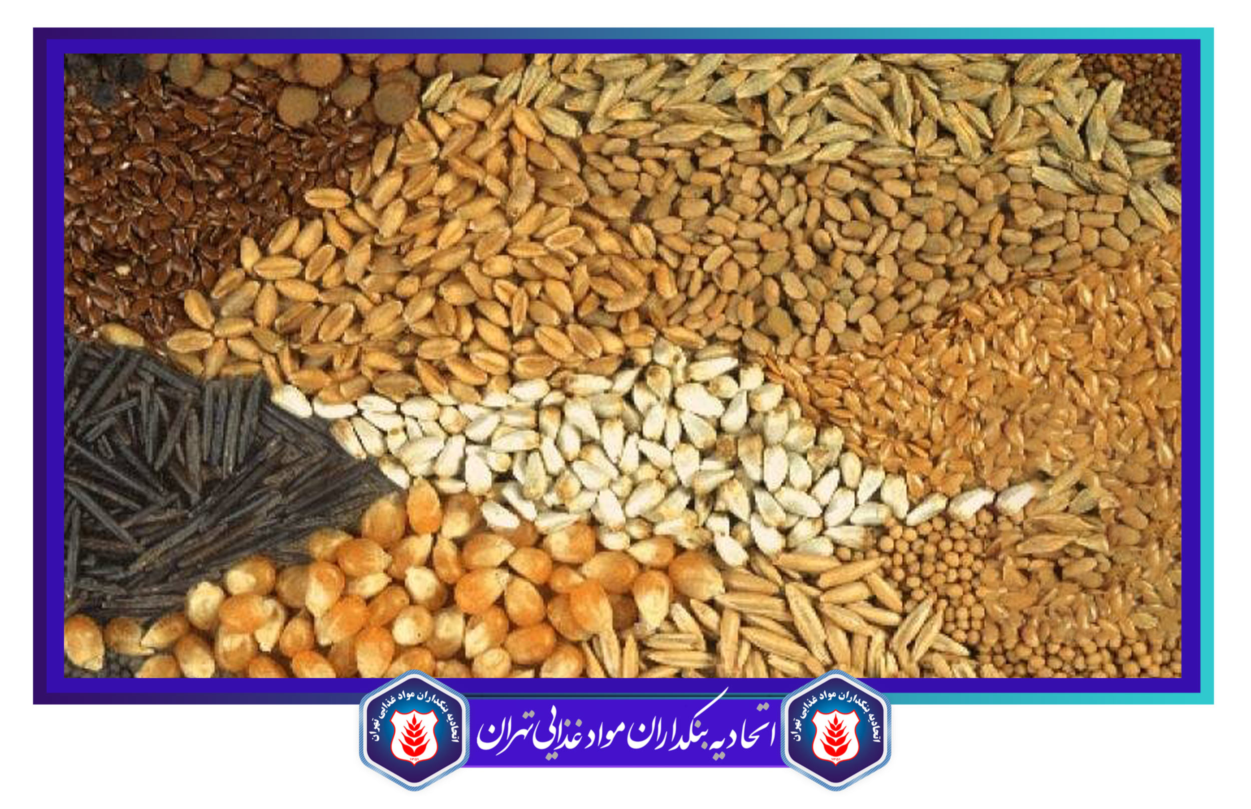تحقق ۹۰ درصدی برنامه تولید بذر گندم