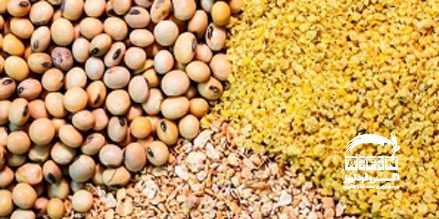 کاهش زمان ثبت سفارش نهاده‌های دامی نهایی شد