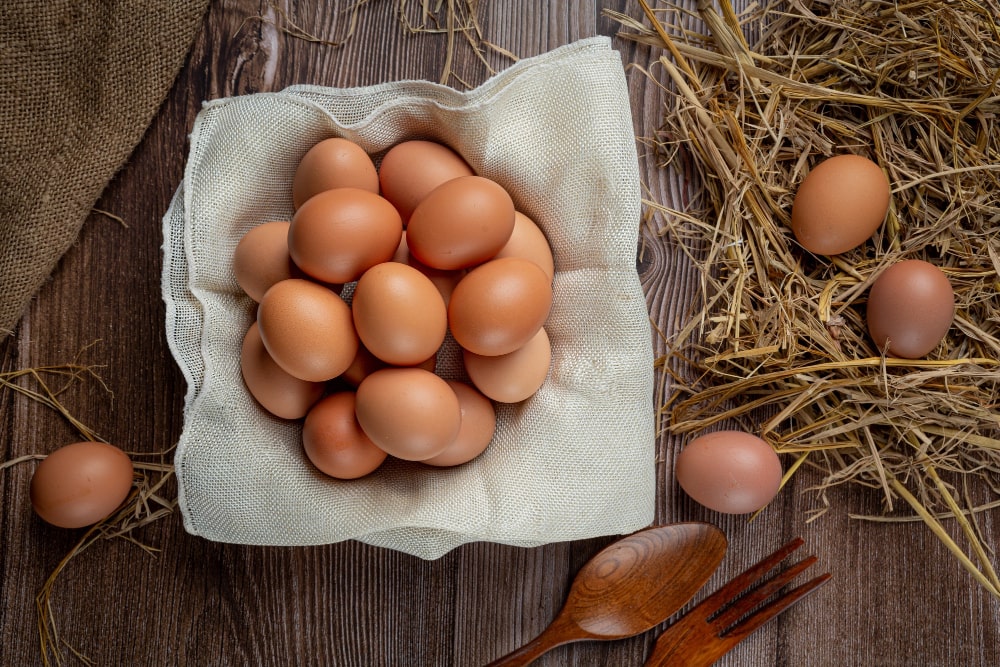 قیمت تخم مرغ آب رفت