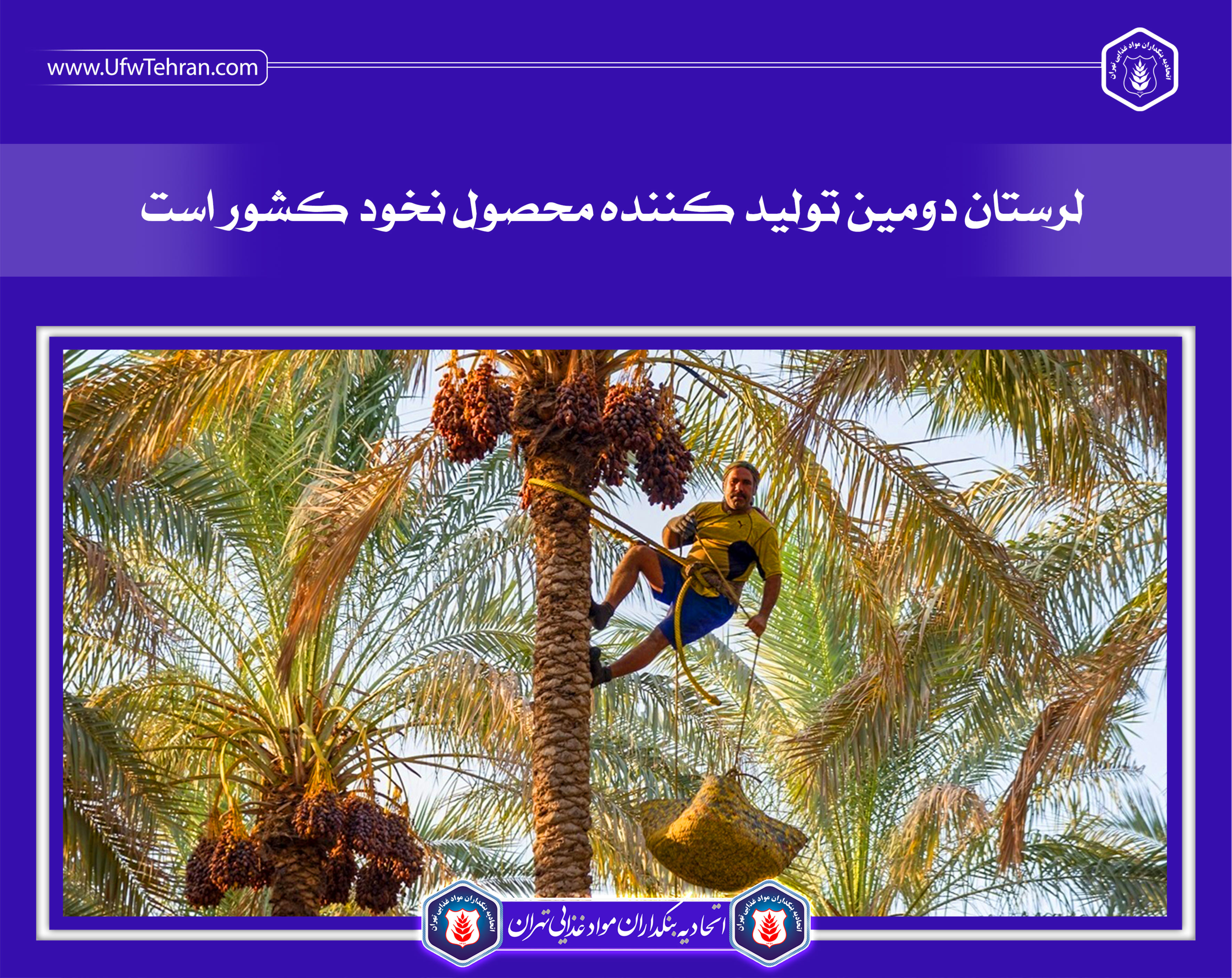 خرید توافقی خرما با قیمت پیشنهادی اتحادیه باغداران
