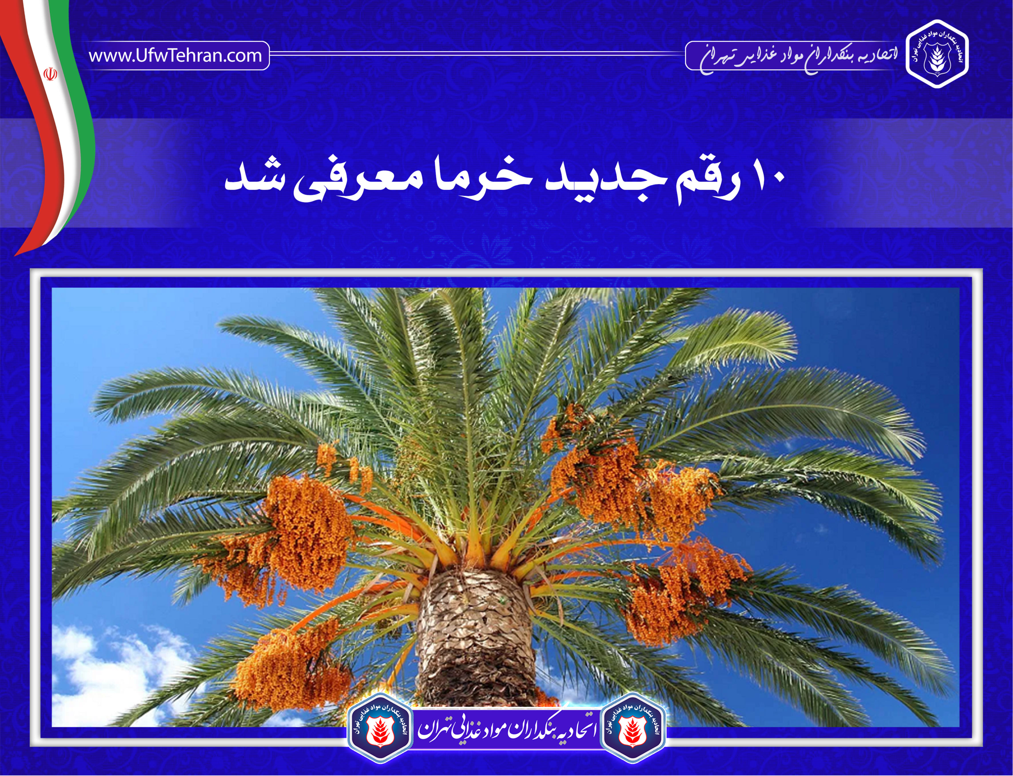 ۱۰ رقم جدید خرما معرفی شد