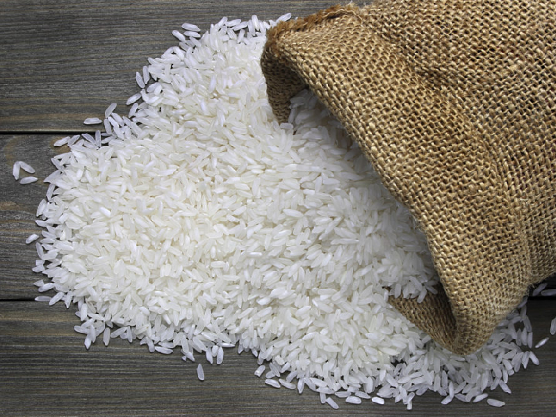جریان سموم بیکیفیت در ساقههای برنج ایرانی
