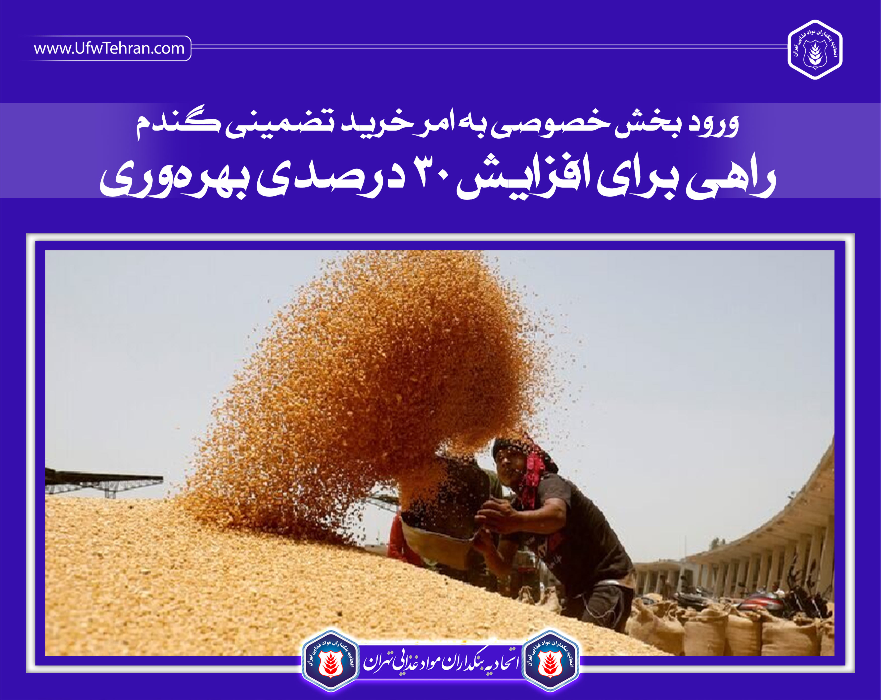 ورود بخش خصوصی به امر خرید تضمینی گندم راهی برای افزایش ۳۰ درصدی بهرهوری