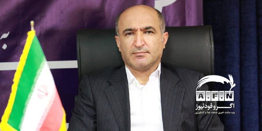 معاون وزیر جهاد کشاورزی: توزیع ۴۰۰ هزار تن شکر برای مصرف خانوار