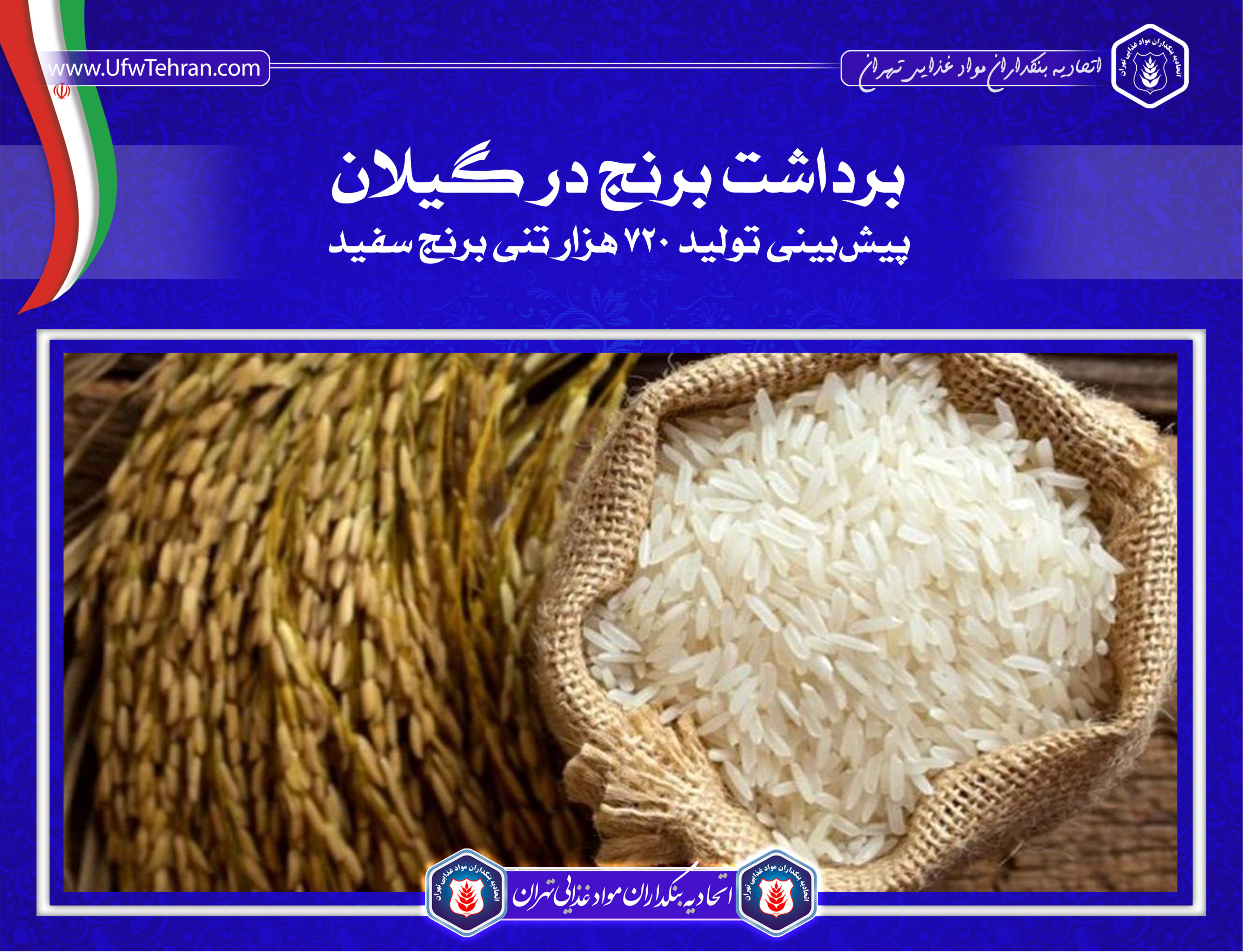 برداشت برنج در گیلان/ پیش بینی تولید ۷۲۰ هزار تنی برنج سفید