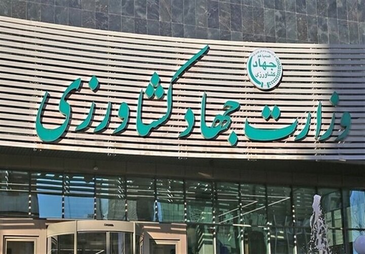 قیمت کالاهای اساسی کشاورزی بهزودی اعلام میشود